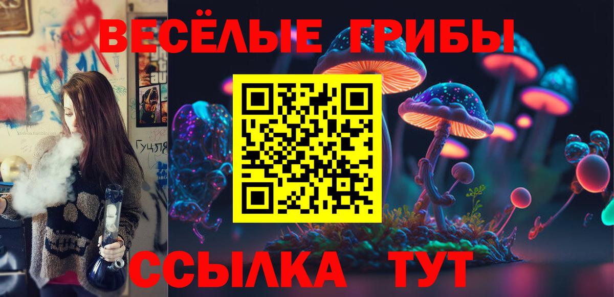 Псилоцибиновые грибы Psilocybe Ипатово